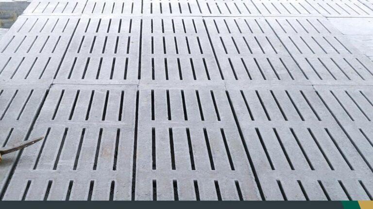 Suinocultura: saiba a importância do concreto usinado para granjas